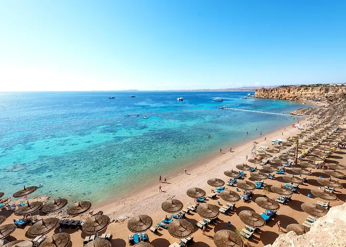 Reef Oasis Beach Aqua Park